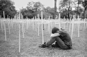crosses